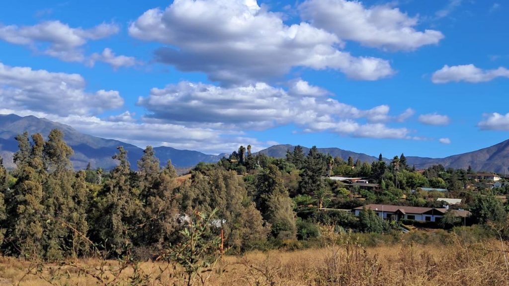 Parcelas en Limache